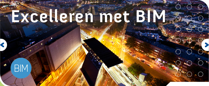 Excelleren met Bim